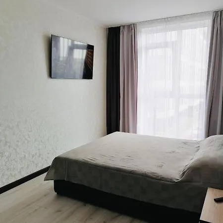 авалон зелена 204